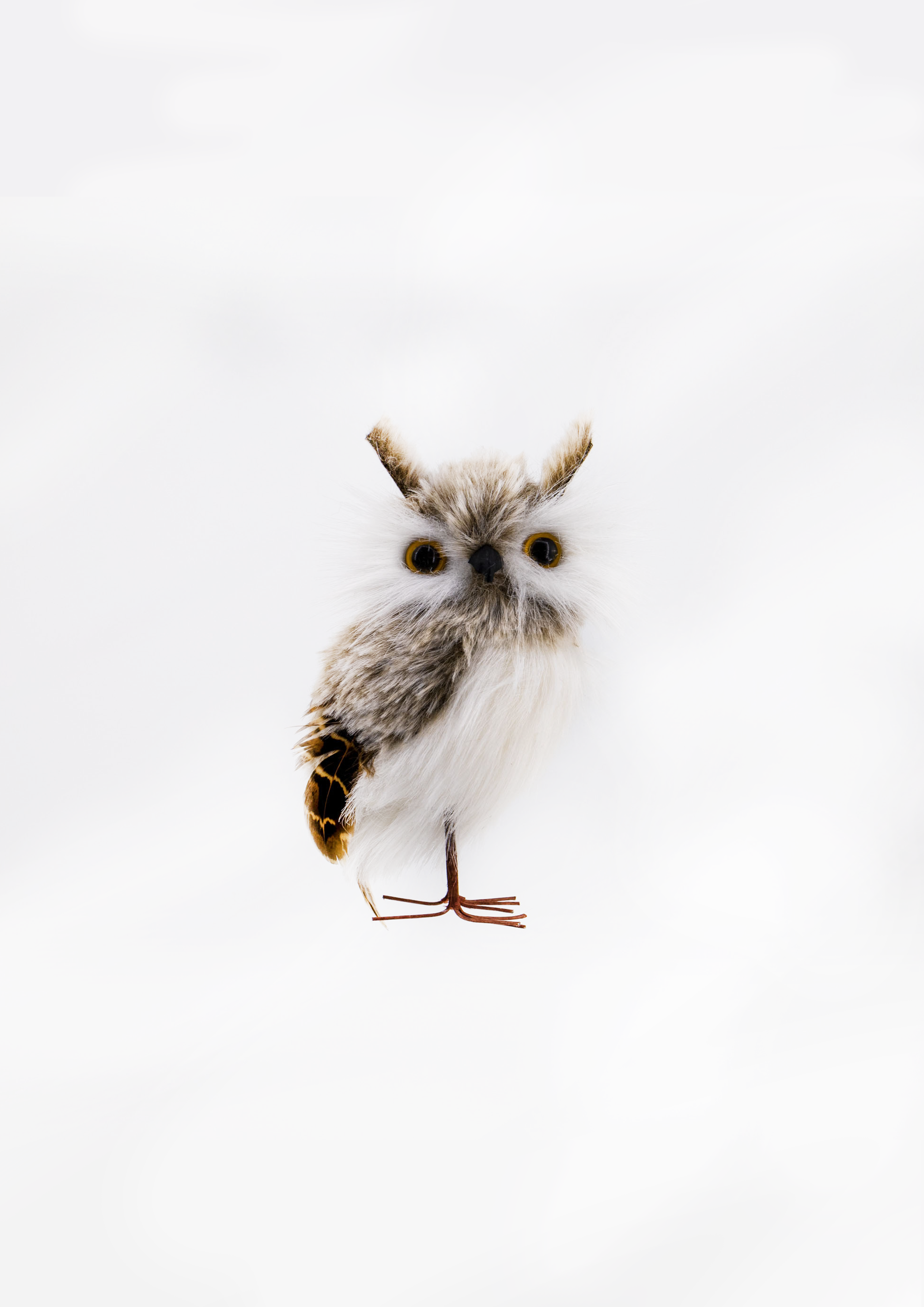 Hanging Grey Owl