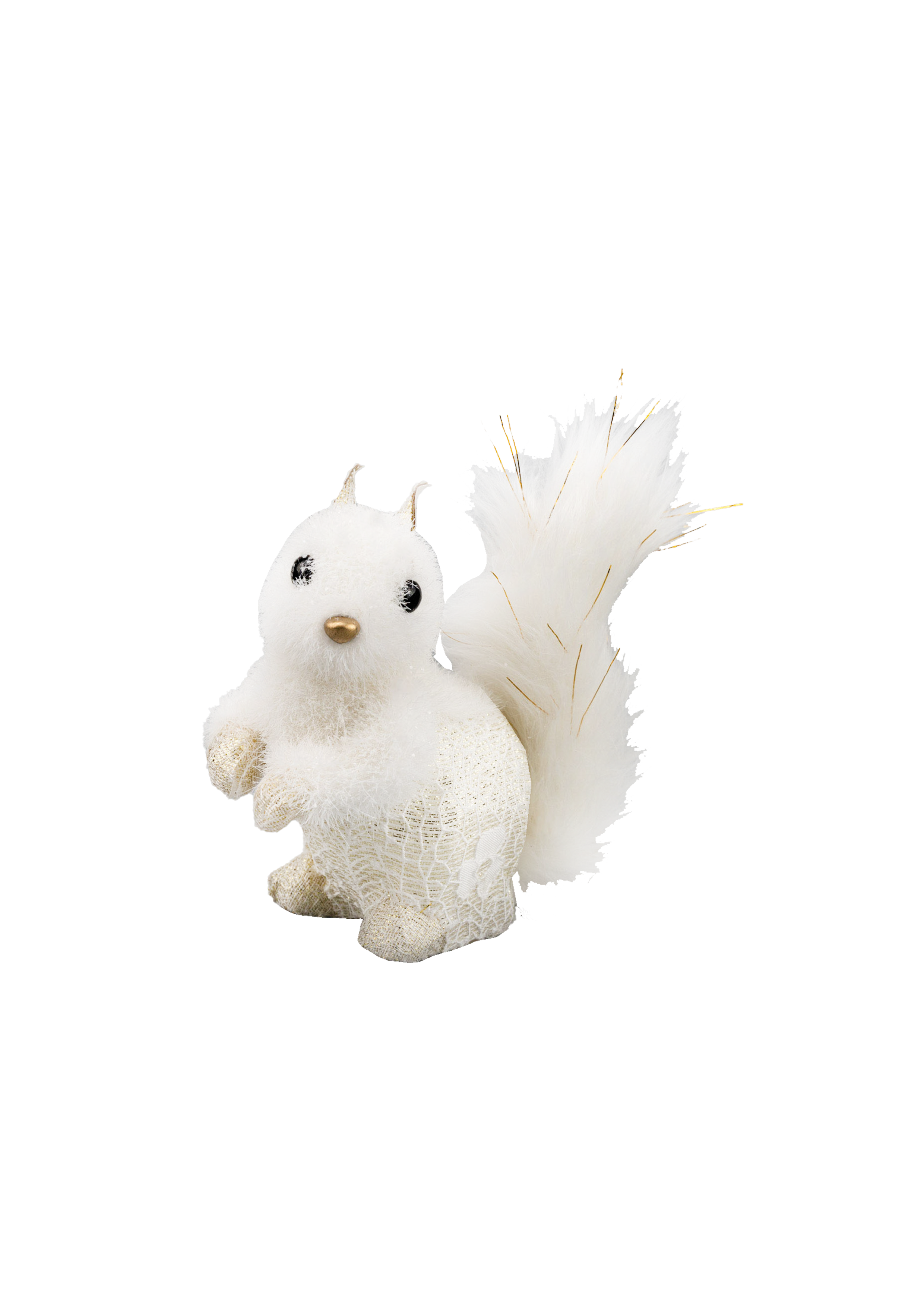 White Squirrel