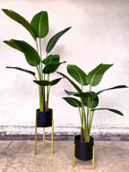 Artificial Plant - Traveller's Palm - 1.6m