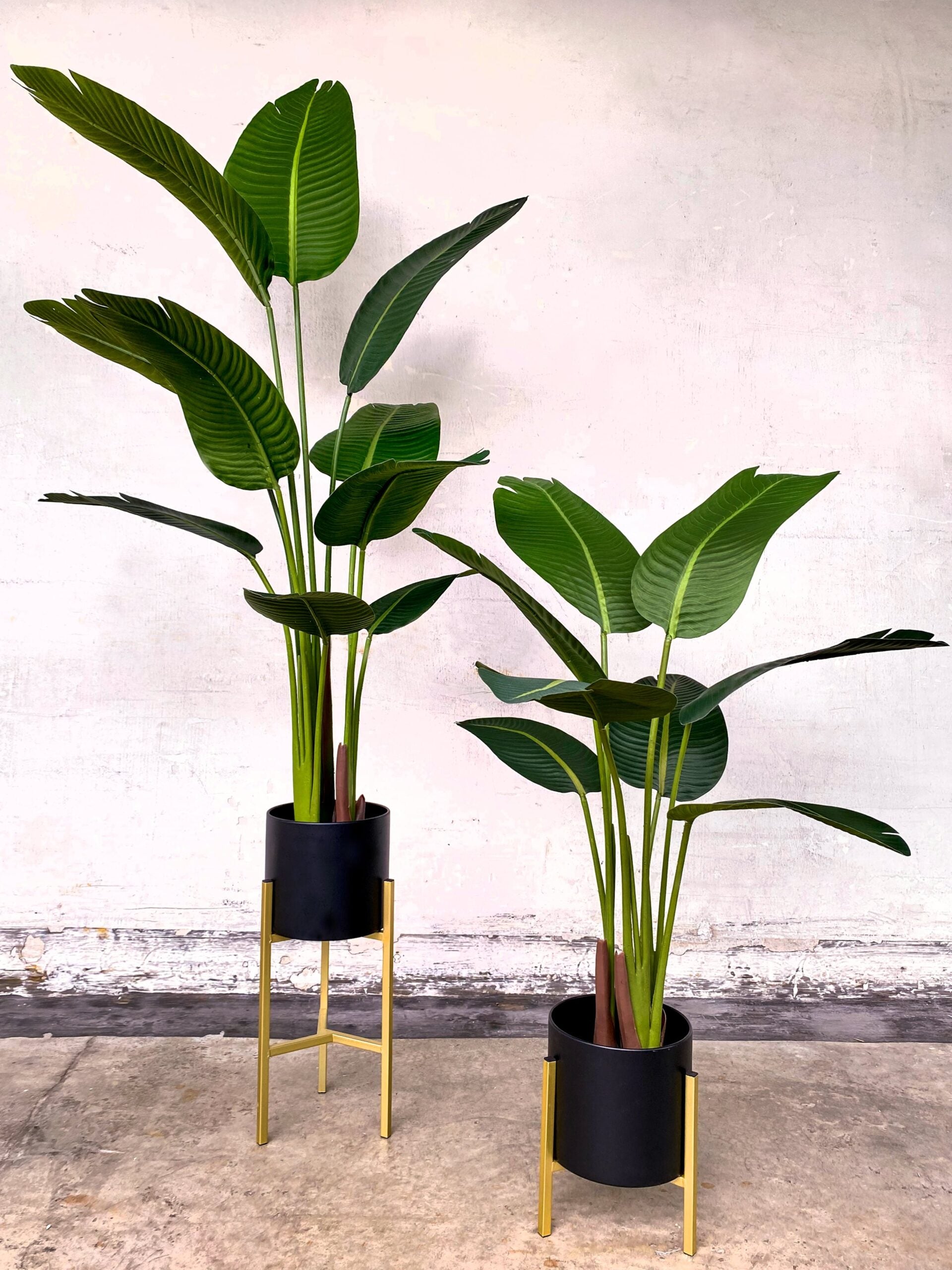Artificial Plant - Traveller's Palm - 1.6m