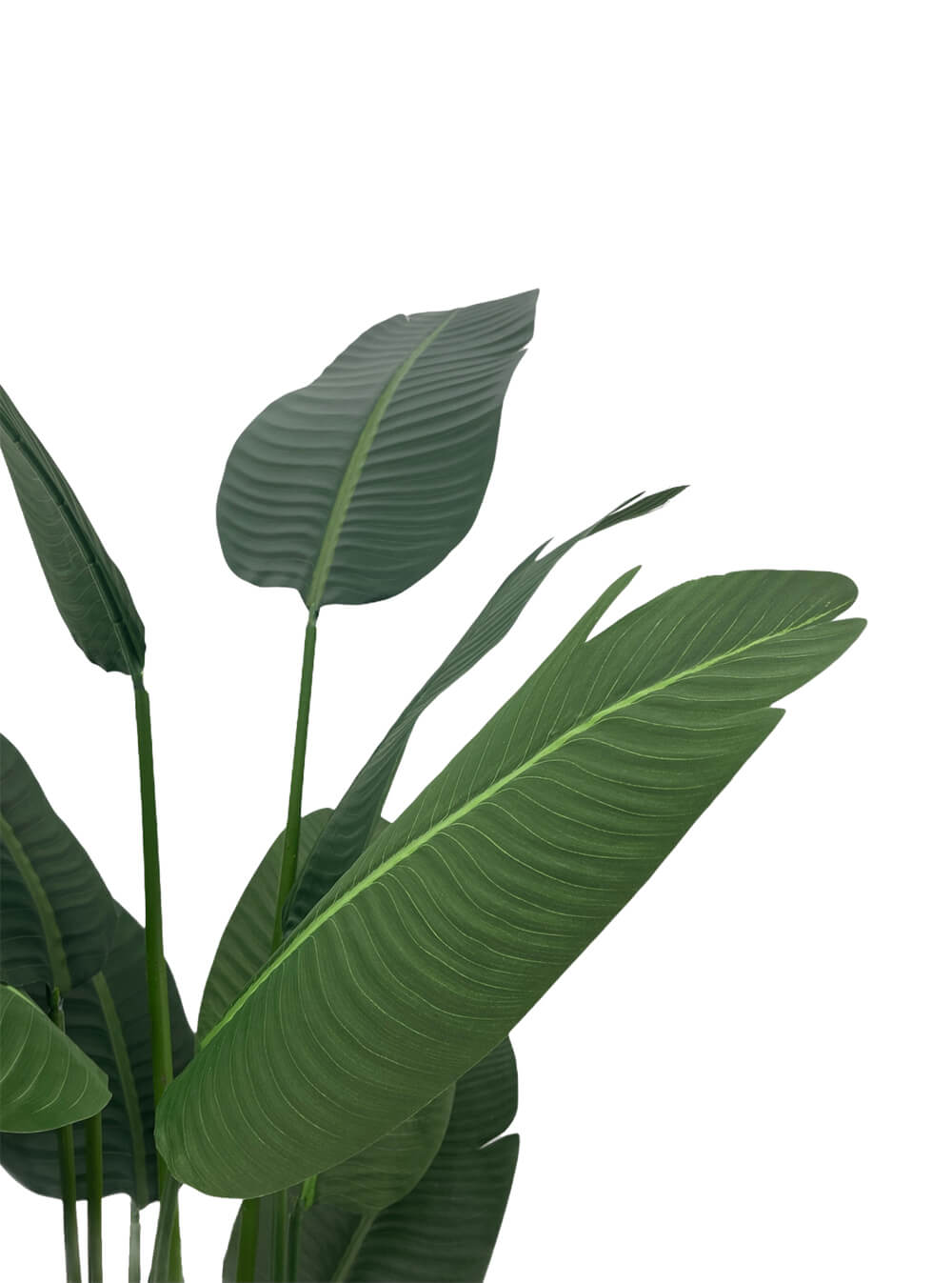 Artificial Plant - Traveller's Palm - 1.6m