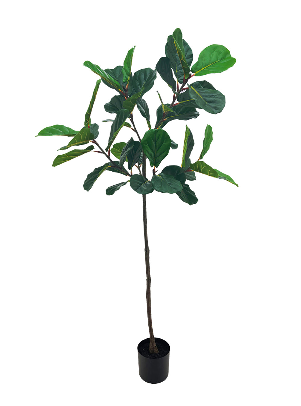 Artificial Plant - Fiddle-Leaf Fig Tree - 1.8m