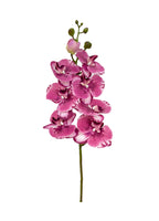 8-Bloom Phalaenopsis Spray - Purplish