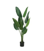 Artificial Plant - Traveller's Palm - 1.6m