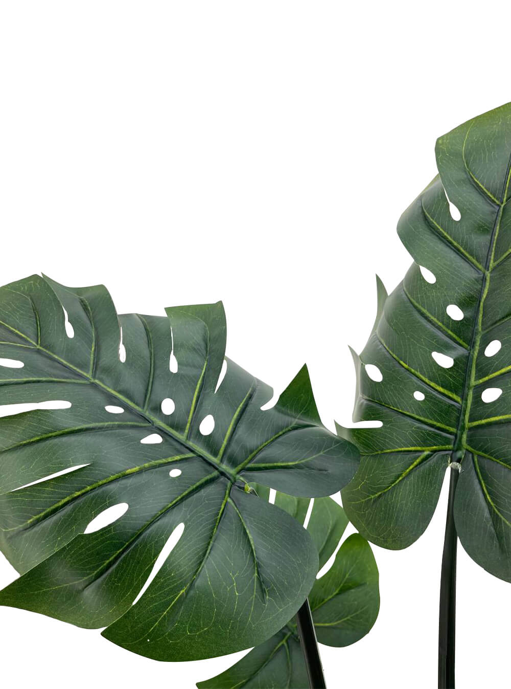 Artificial Plant - Monstera Leaf Plant  - 1.5m