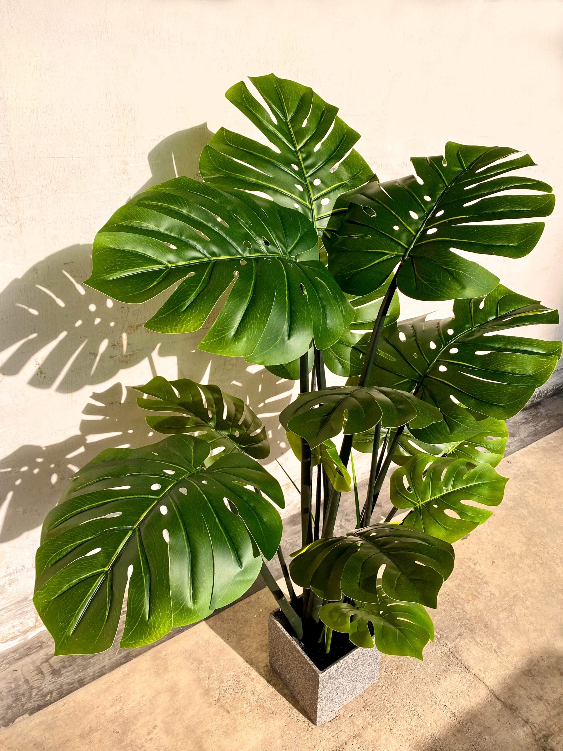 Artificial Plant - Monstera Leaf Plant  - 1.5m