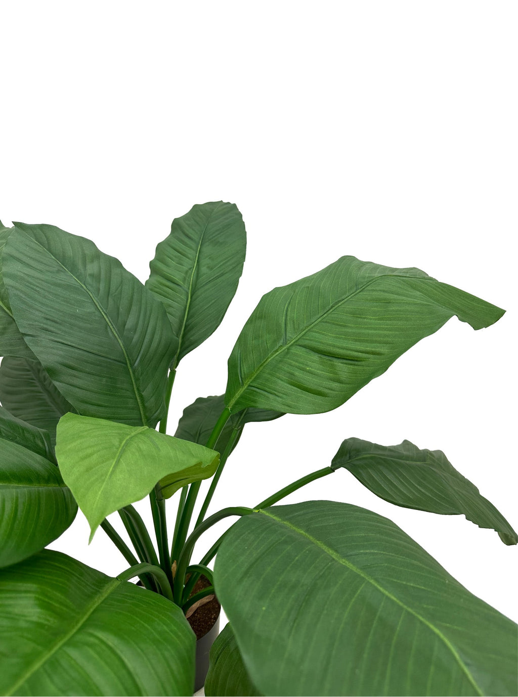 Artificial Plant - 60cm Spathiphyllum King (UV Resistant)