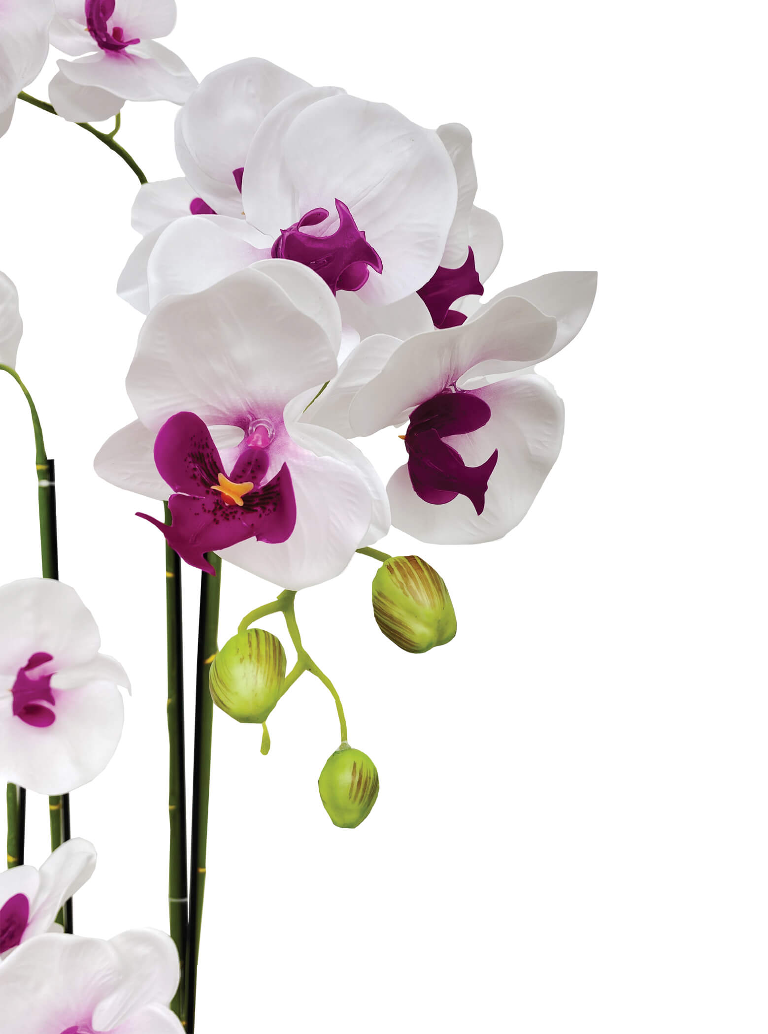 Artificial Plant - 5 Stalk Potted White and Fuchsia Orchid