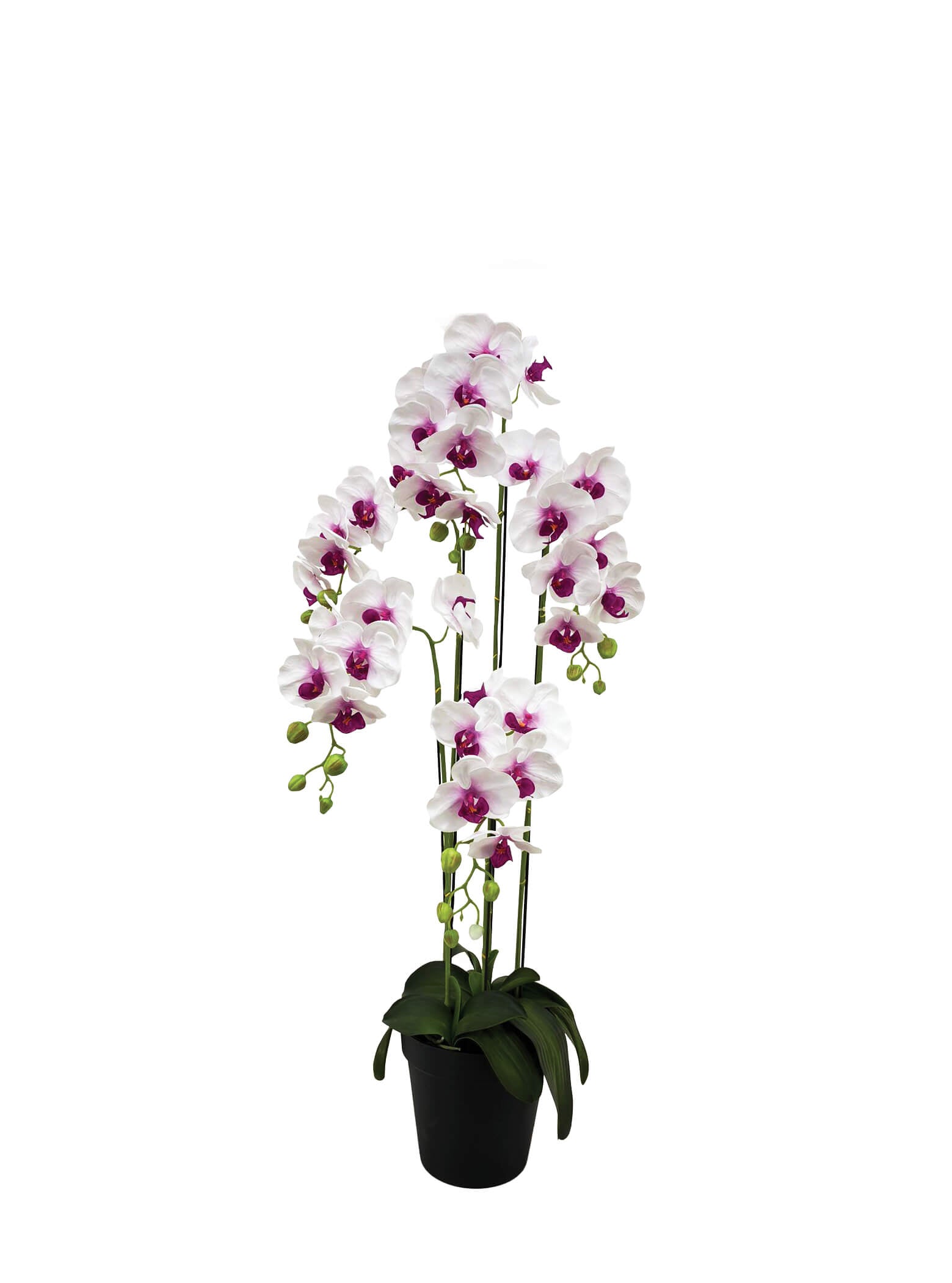 Artificial Plant - 5 Stalk Potted White and Fuchsia Orchid