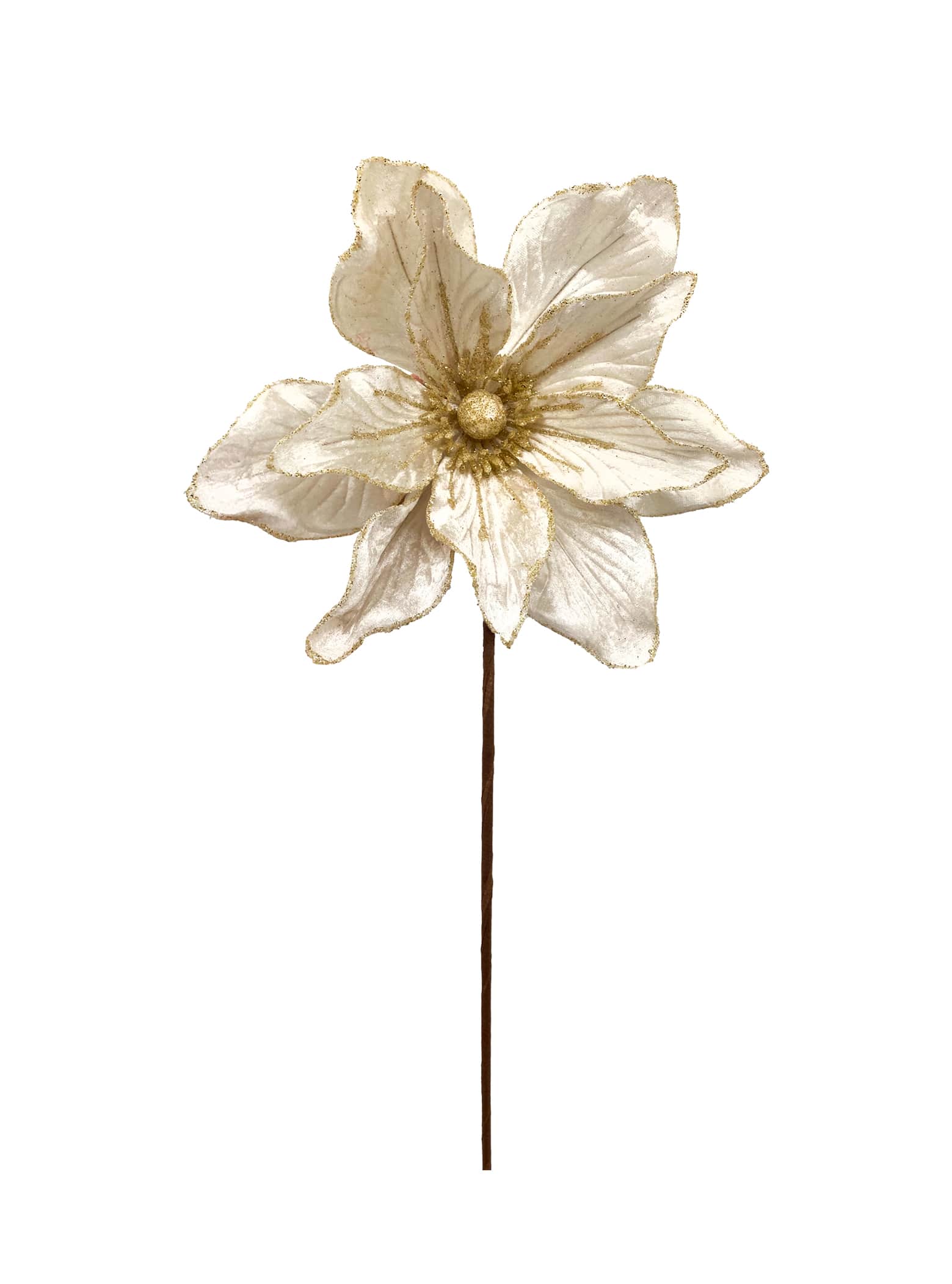 Ivory Magnolia Poinsettia