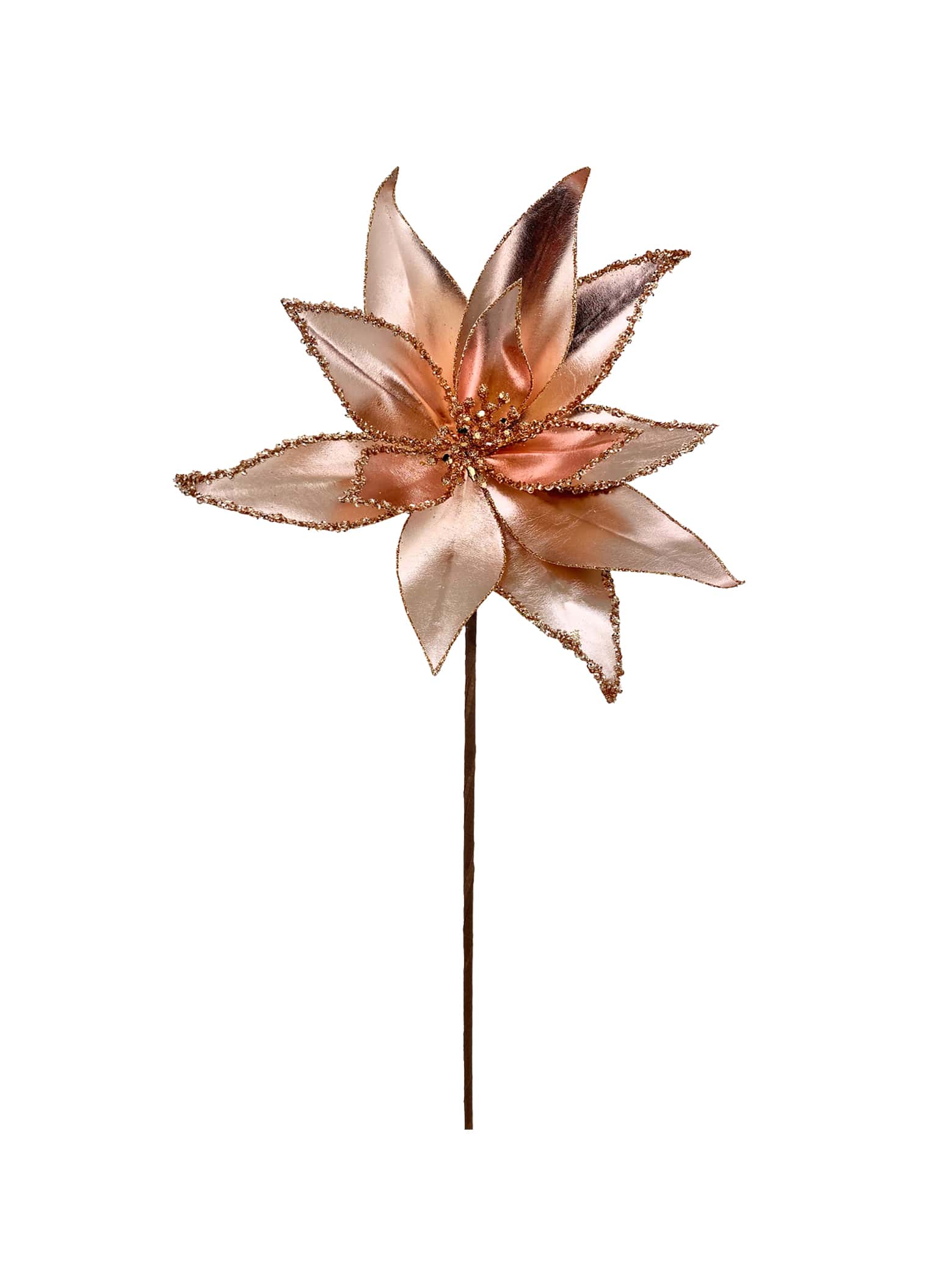 Rose Gold Champagne Poinsettia