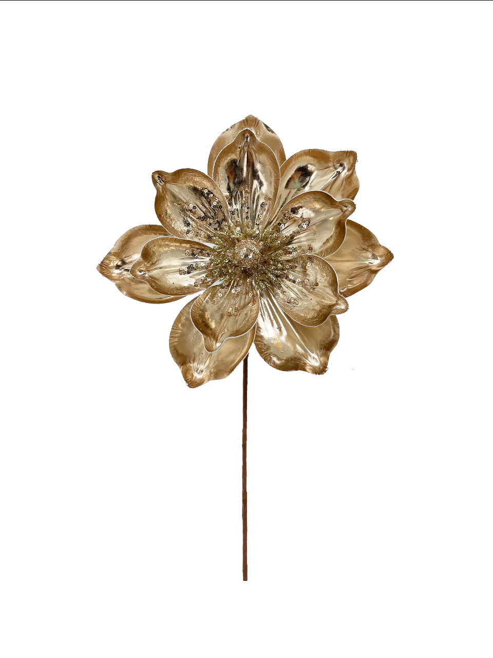 Magnolia Spray Champagne