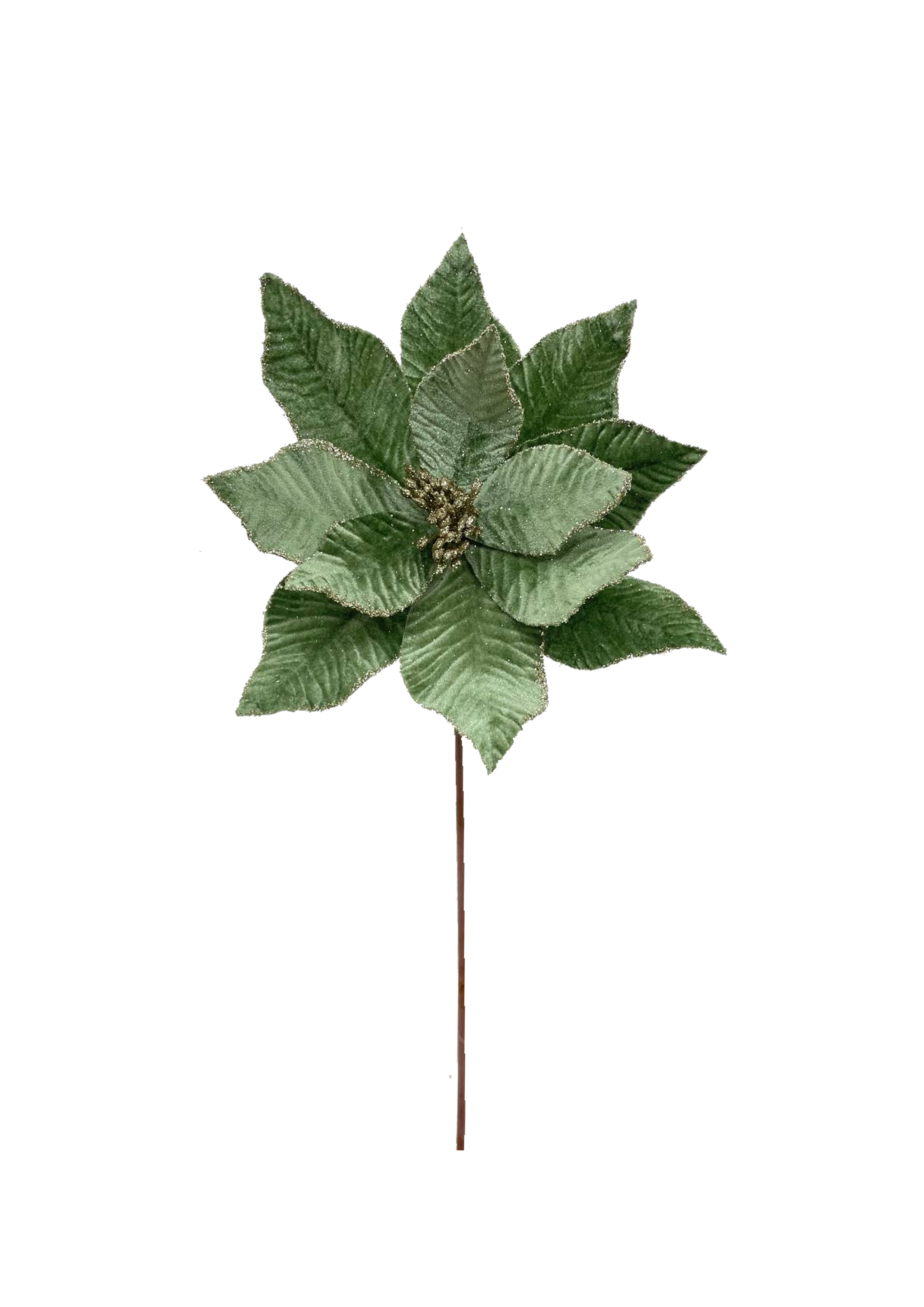 Poinsettia Spray Slate Green