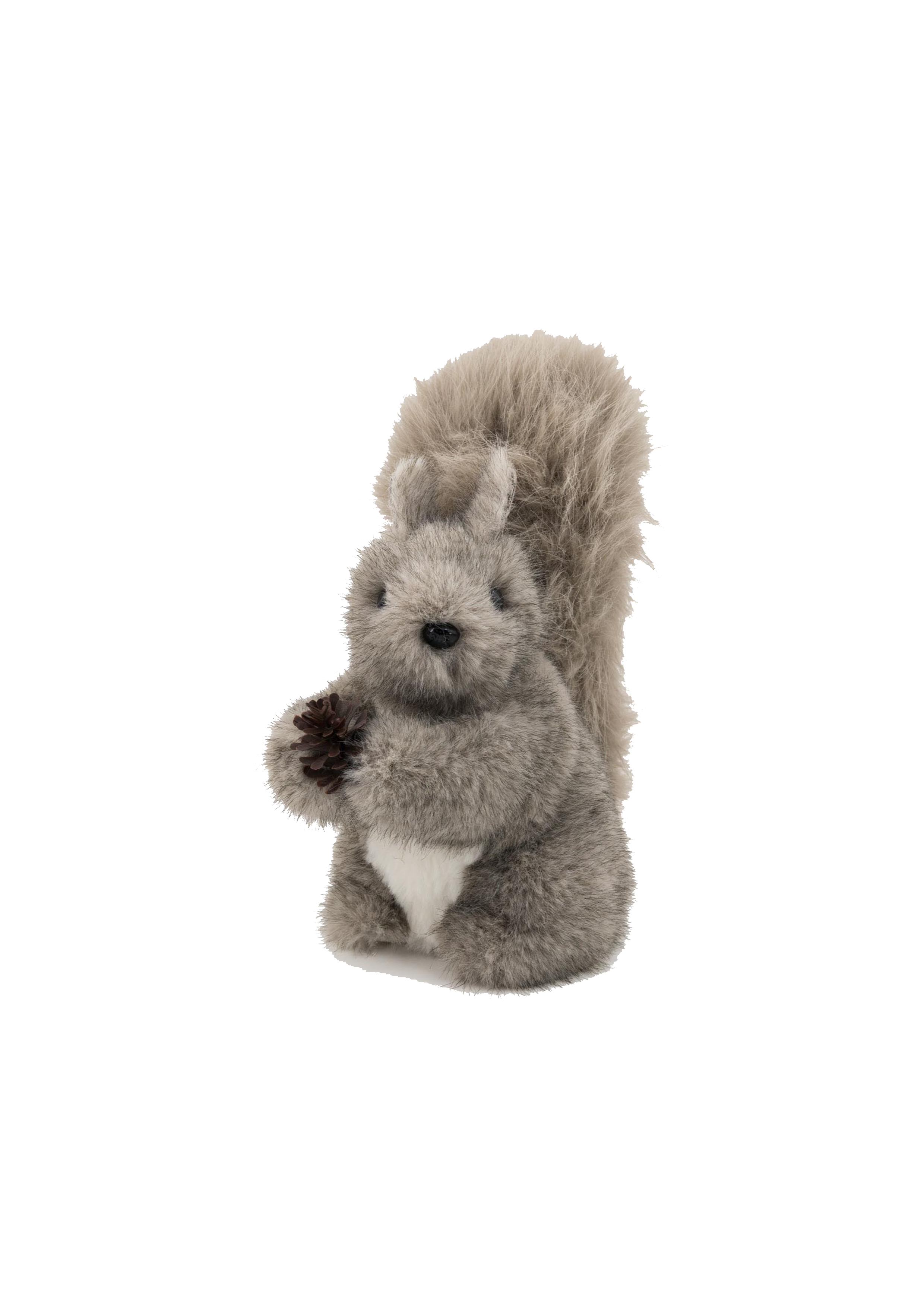 Grey Squirrel