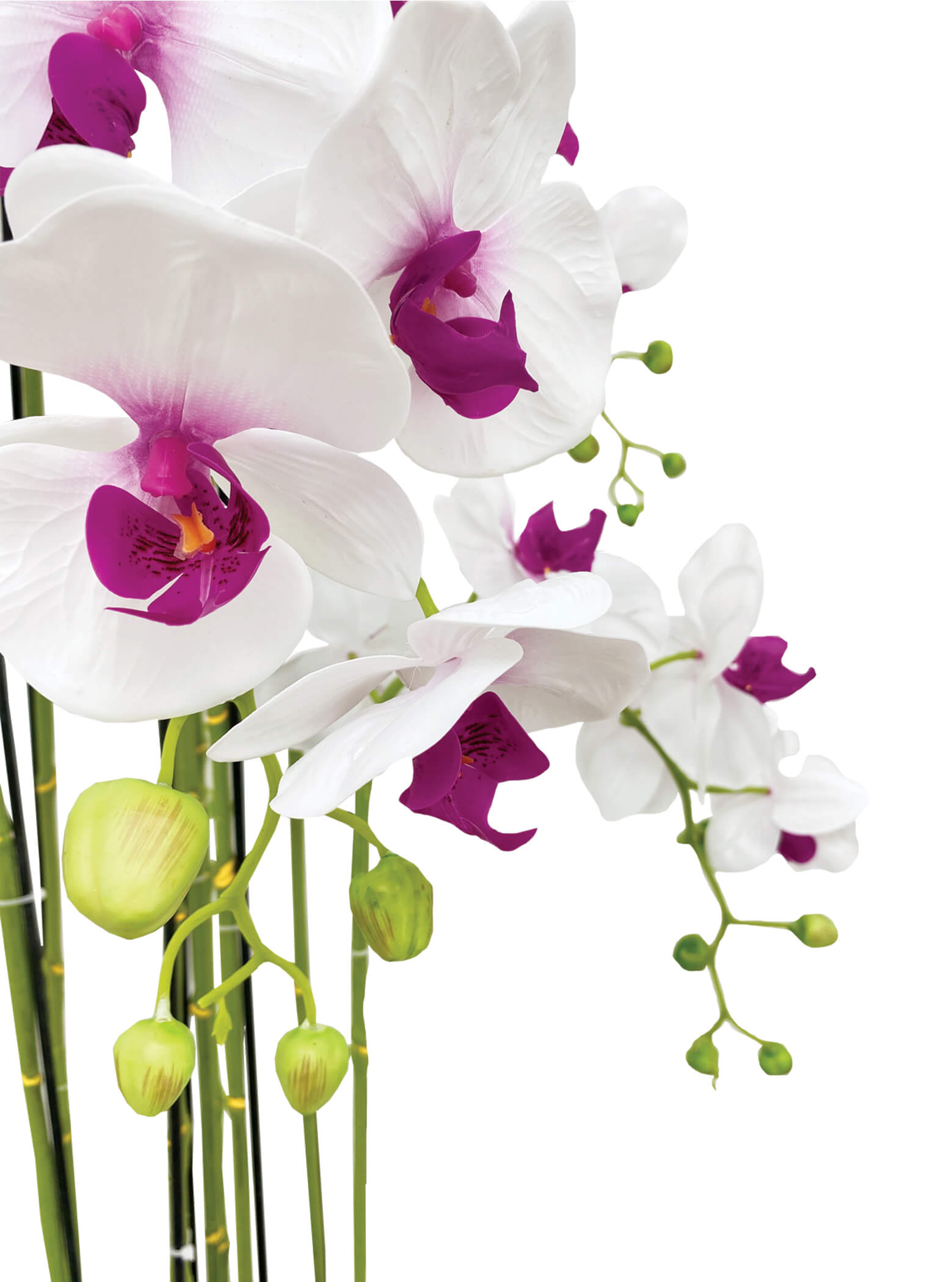Artificial Plant - 9 Stalk Potted White and Fuchsia Orchid