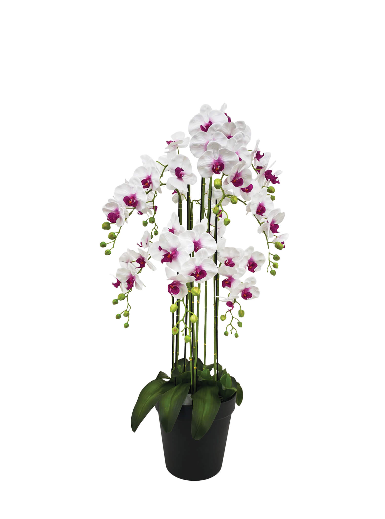 Artificial Plant - 9 Stalk Potted White and Fuchsia Orchid