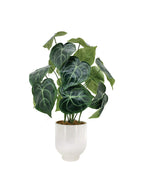 Artificial Plant - Anthurium Leaf Plant w. Ceramic Pot