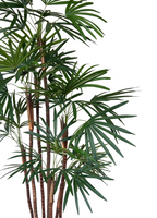 Artificial Tree- 1.6m Honeylady Palm (UV Resistant)