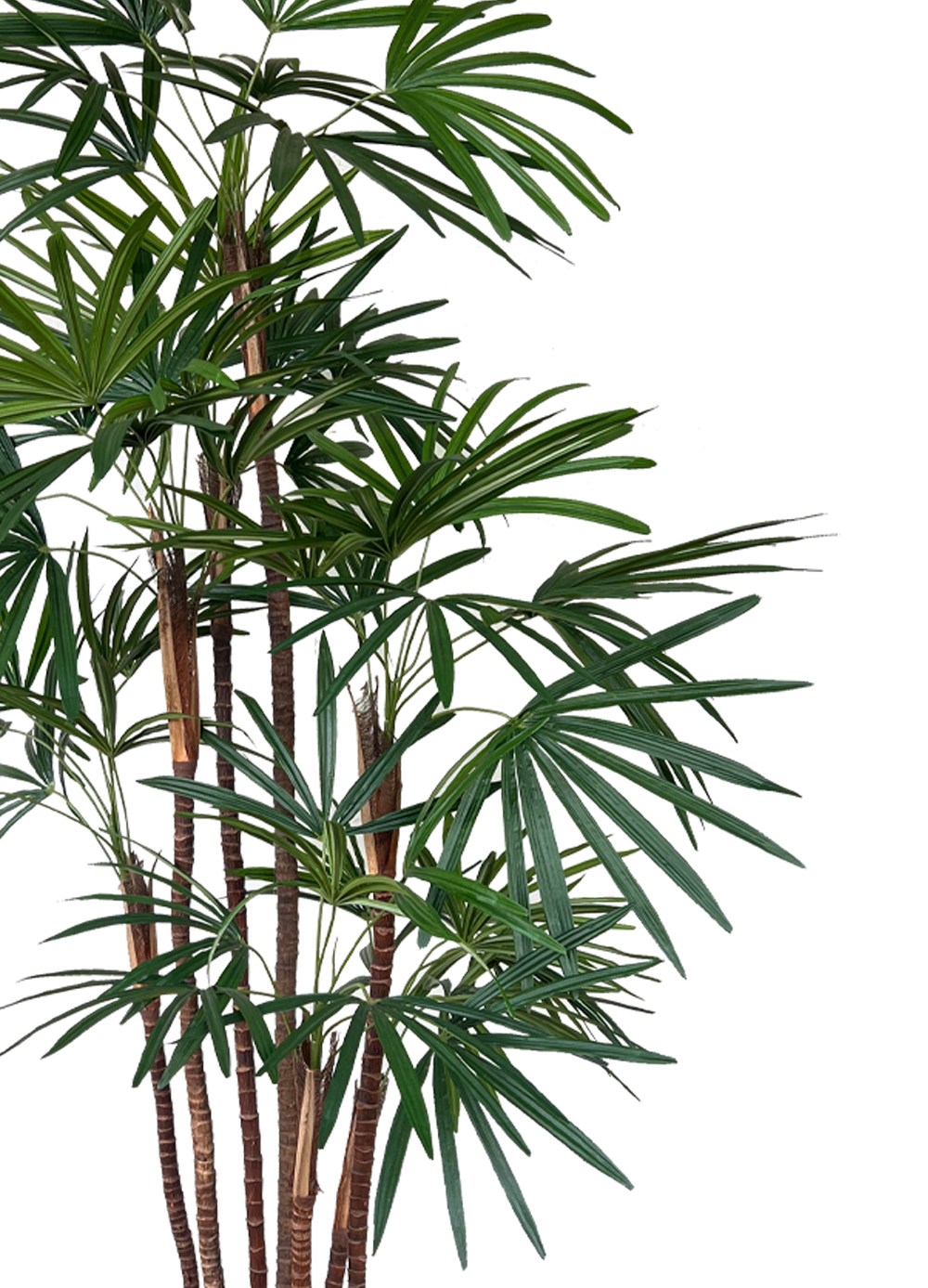 Artificial Tree- 1.6m Honeylady Palm (UV Resistant)