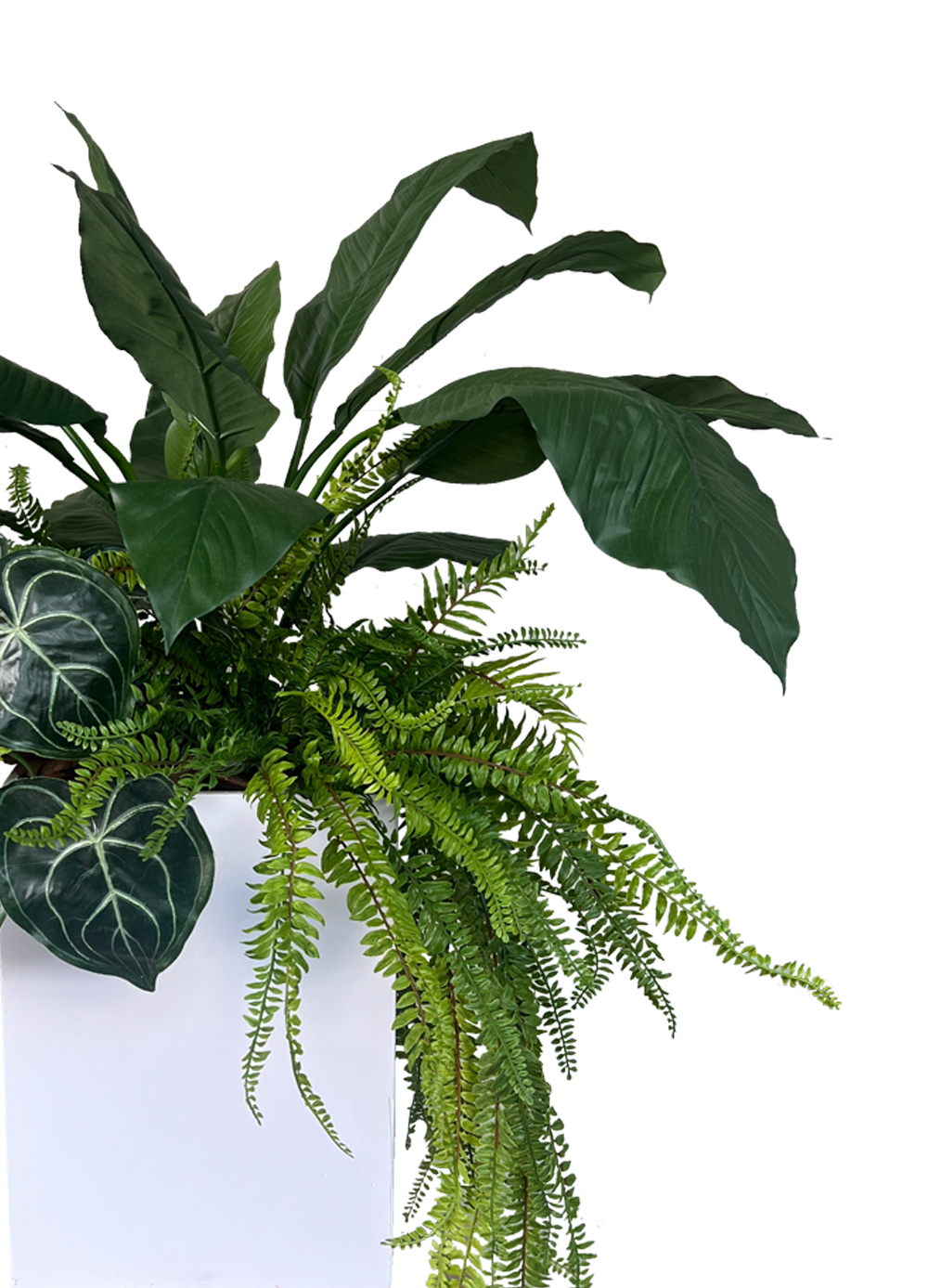 Serenity Spathiphyllum Planter
