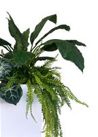 Serenity Spathiphyllum Planter