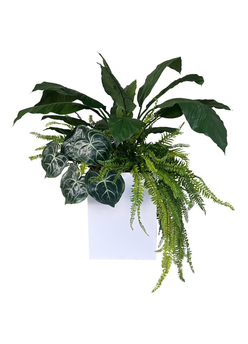 Serenity Spathiphyllum Planter