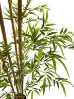 Artificial Plant - Bamboo Plant - 1.8m