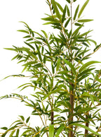 Artificial Plant - Bamboo Plant - 1.8m