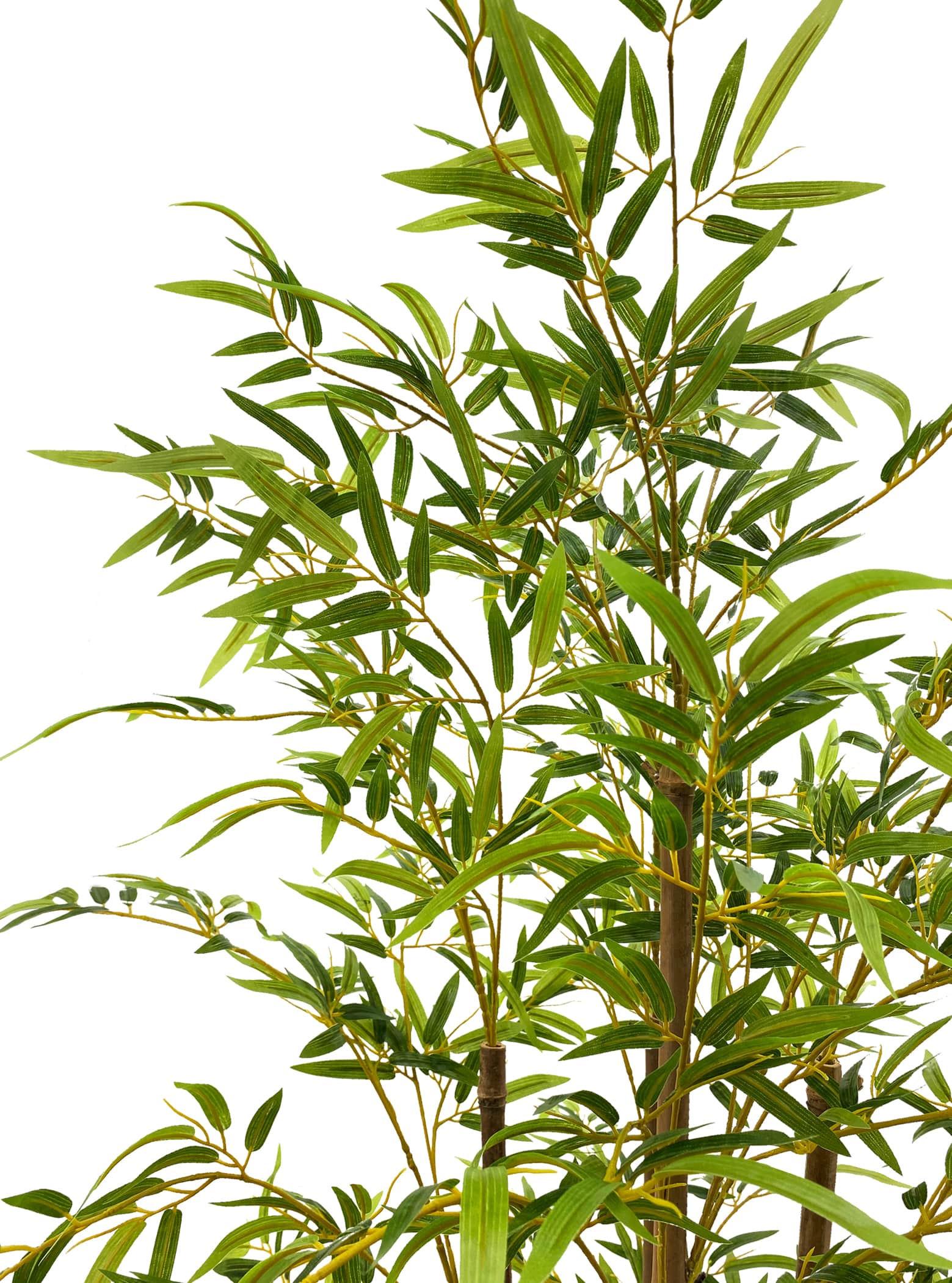 Artificial Plant - Bamboo Plant - 1.8m