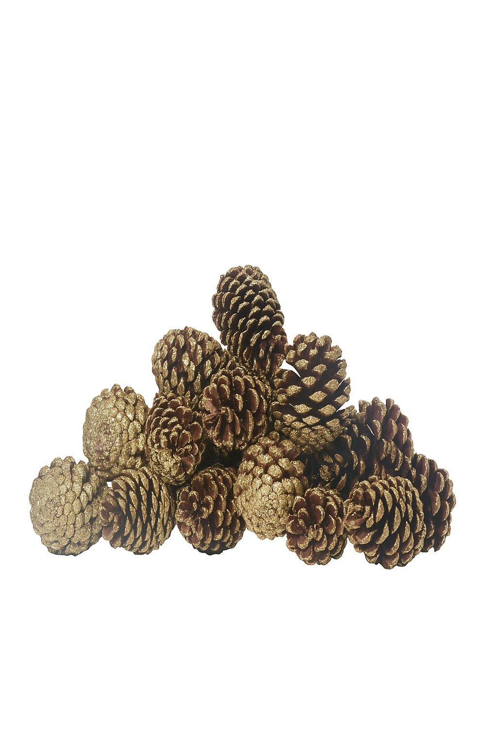10-12cm Natural Pinecones with Gold Glitter - Set of 16
