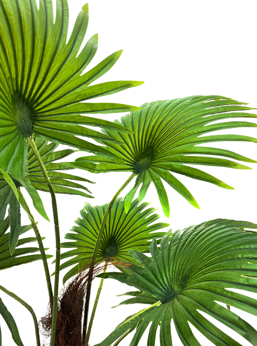 Artifical Plant - Fan Palm Tree- 1.9m