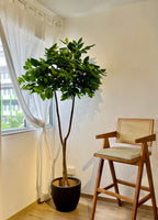 Artificial Tree - 2.1m Coffea Arabica (UV Resistant)