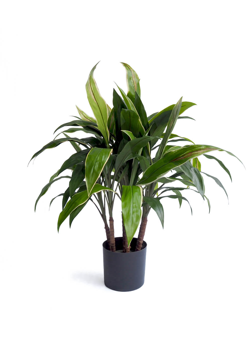 Artificial Plant - Cordyline Plant - 70cm