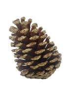 Natural Pinecones with Gold Glitter