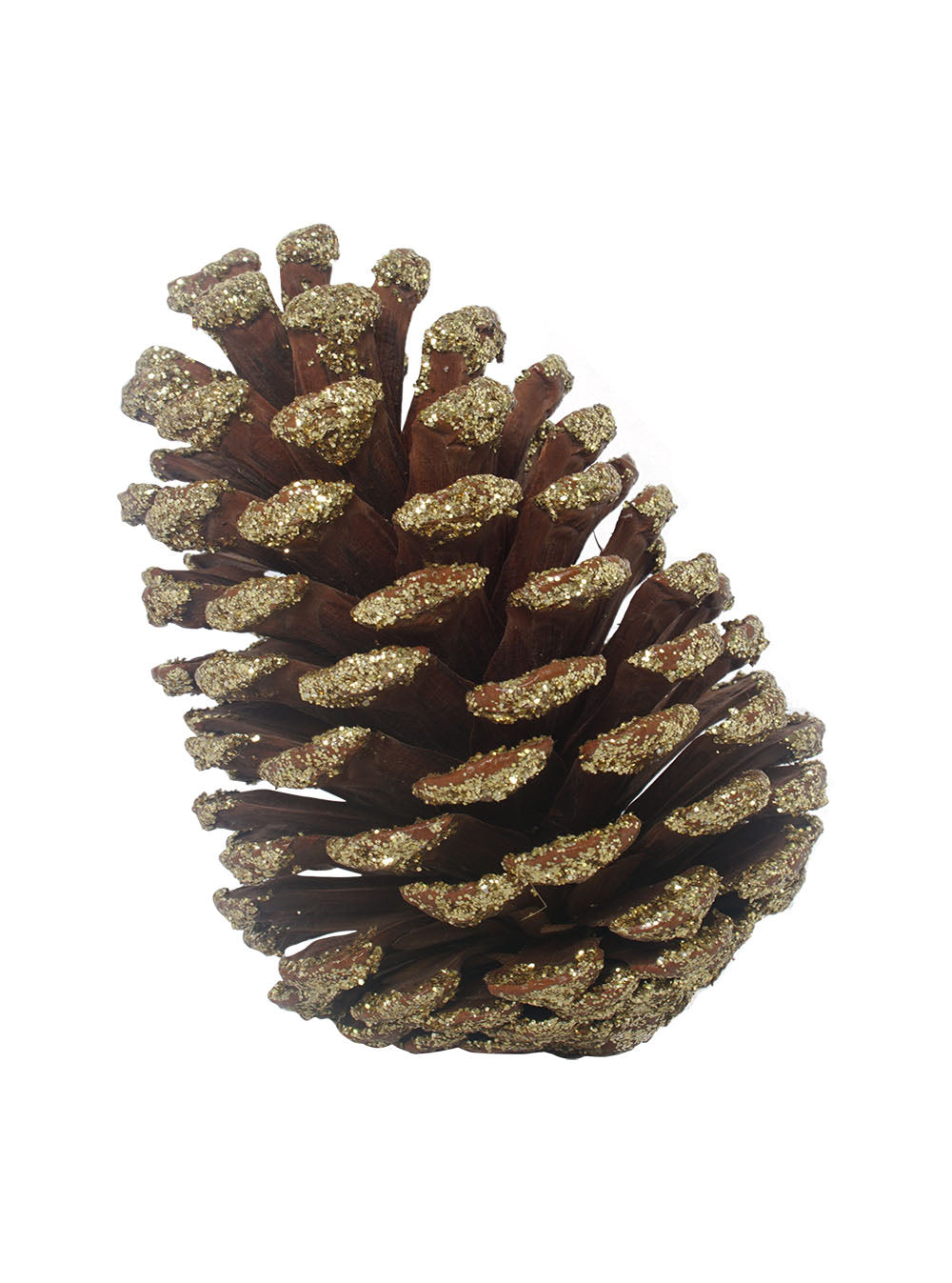 Natural Pinecones with Gold Glitter
