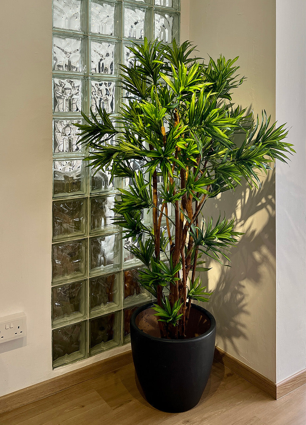 Artificial Tree- 1.5m Dracaena Reflexa (UV Resistant)
