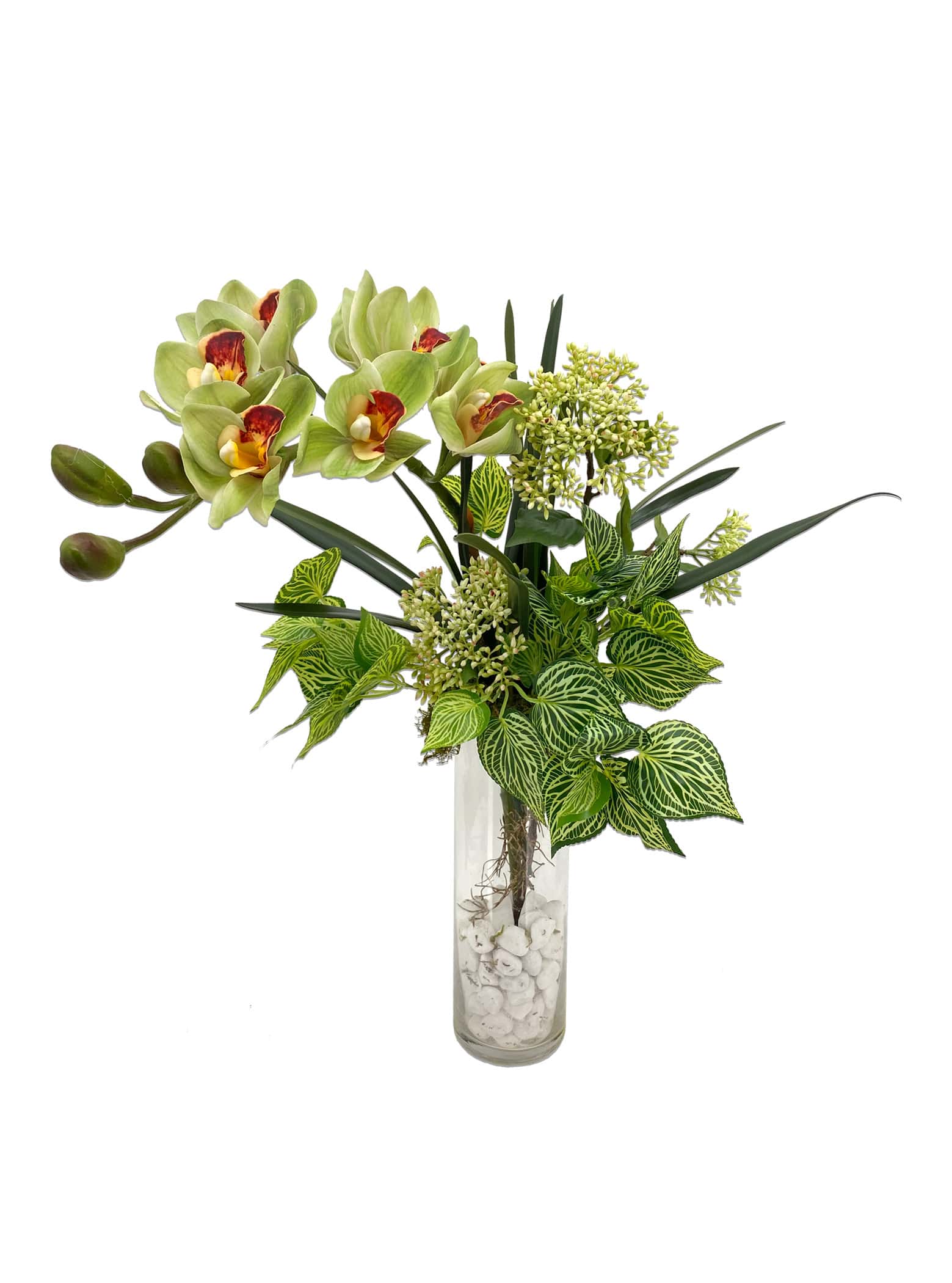 Earthy Cymbidium