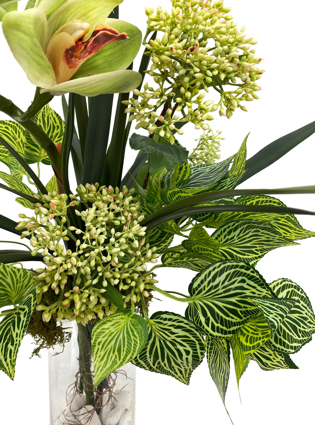 Earthy Cymbidium