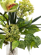 Earthy Cymbidium