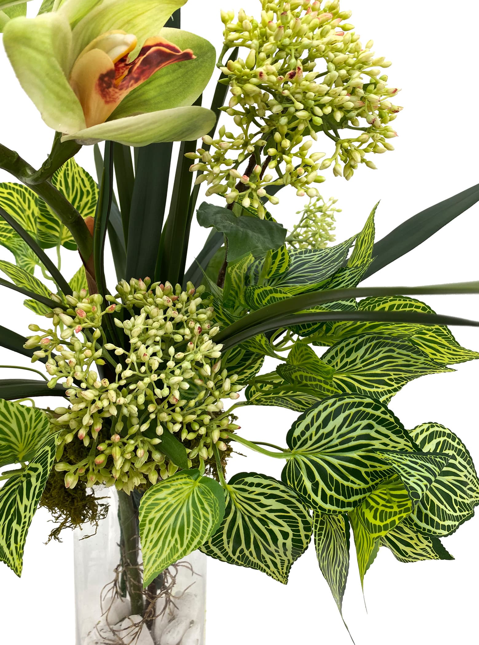 Earthy Cymbidium