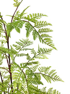 Artificial Plant - Pteridium Fern - 90cm
