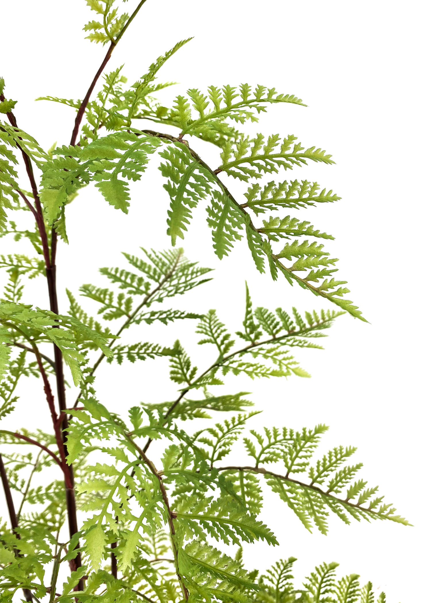 Artificial Plant - Pteridium Fern - 90cm