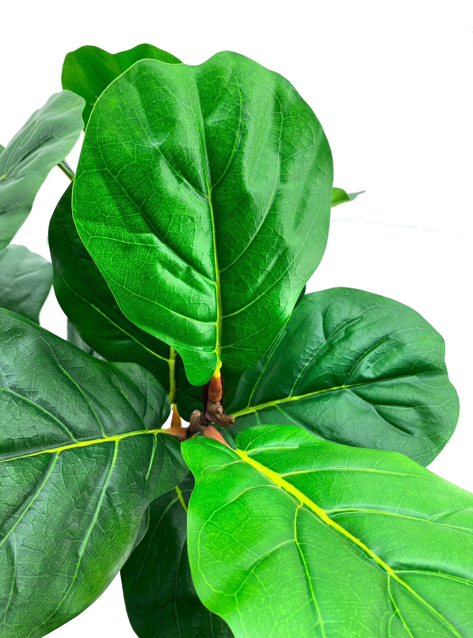 Artificial Plant - Fiddle Leaf Fig Tree - 1.2m