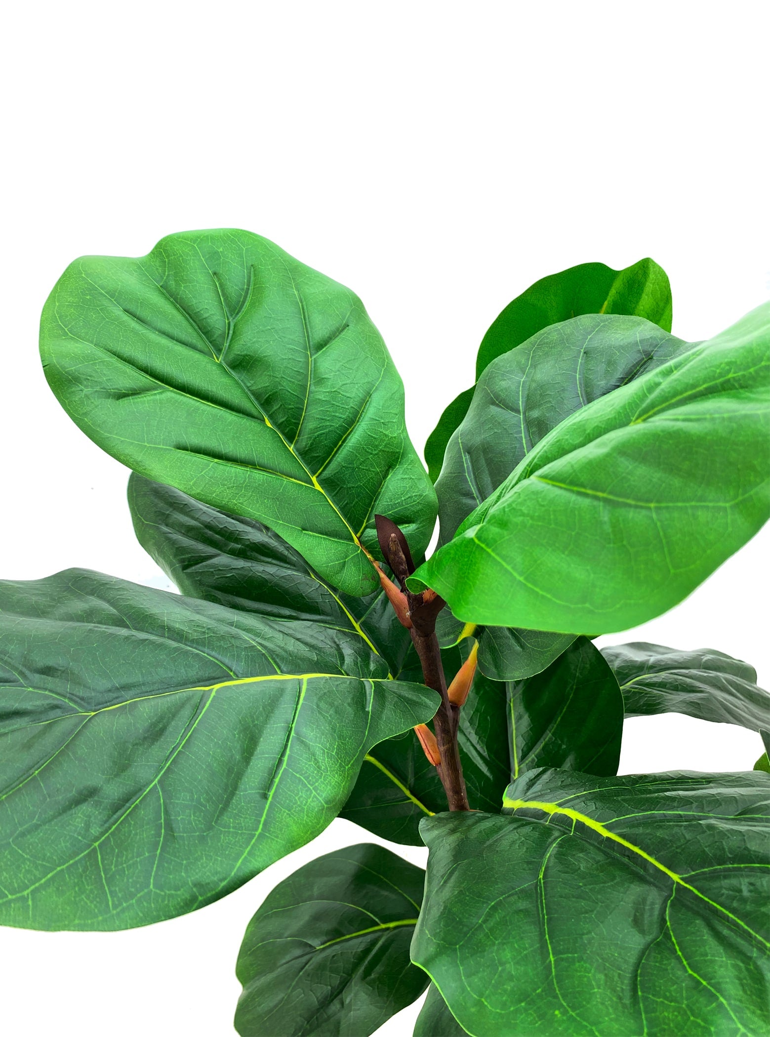Artificial Plant - Fiddle Leaf Fig Tree - 1.2m