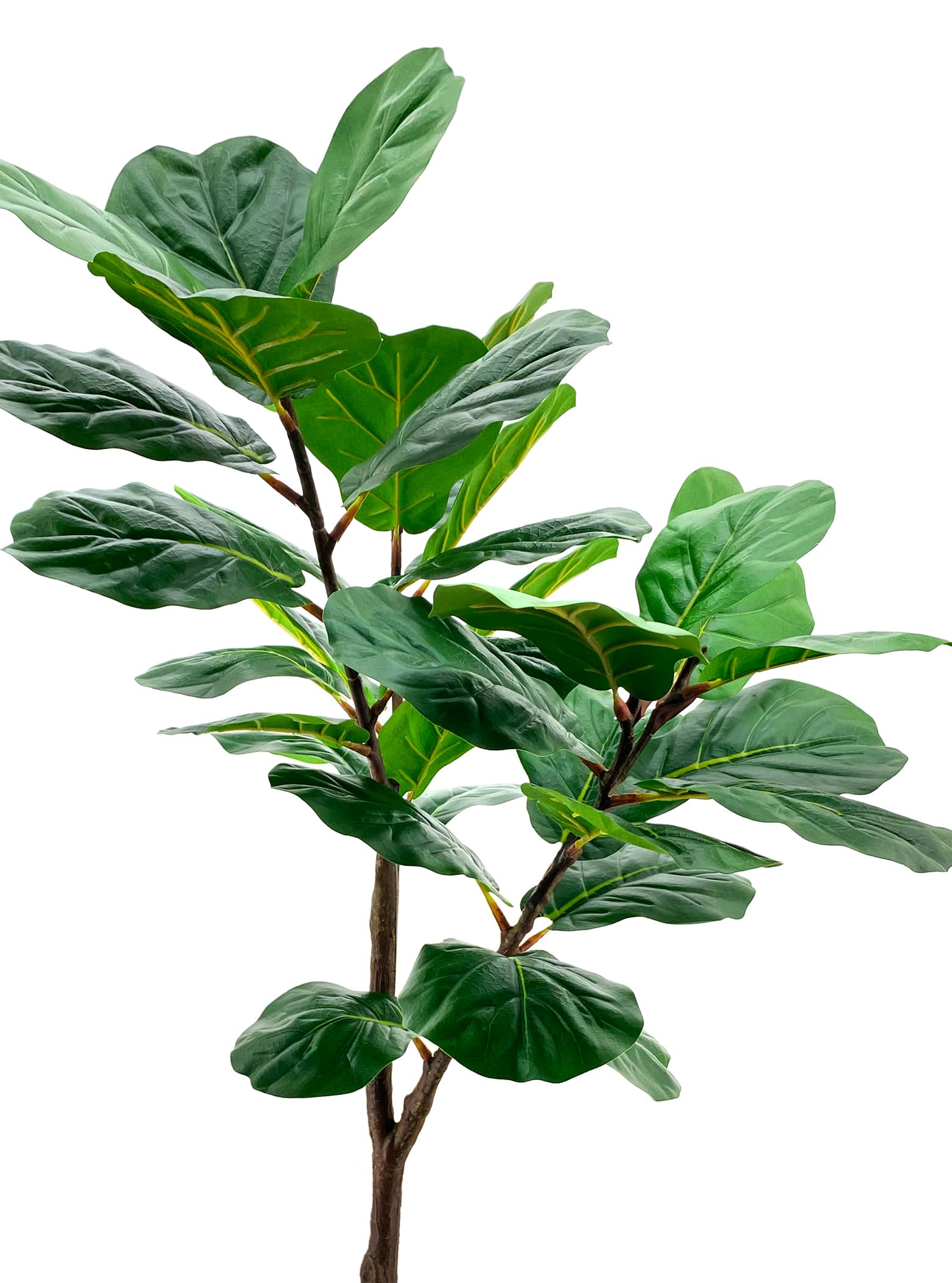Artificial Plant - Fiddle-Leaf Fig Tree - 1.5m