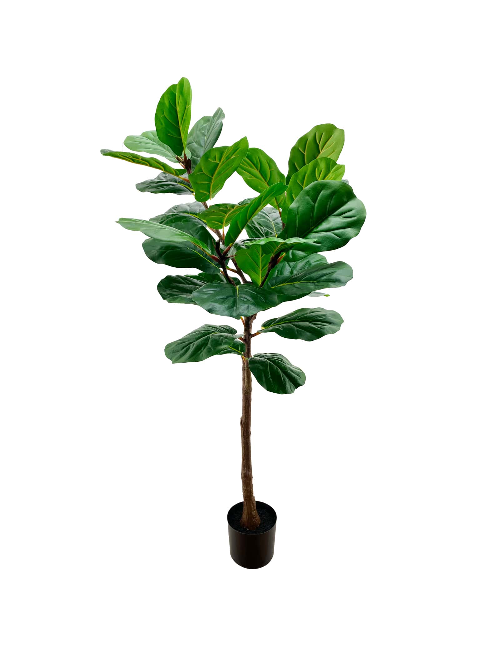Artificial Plant - Fiddle-Leaf Fig Tree - 1.5m