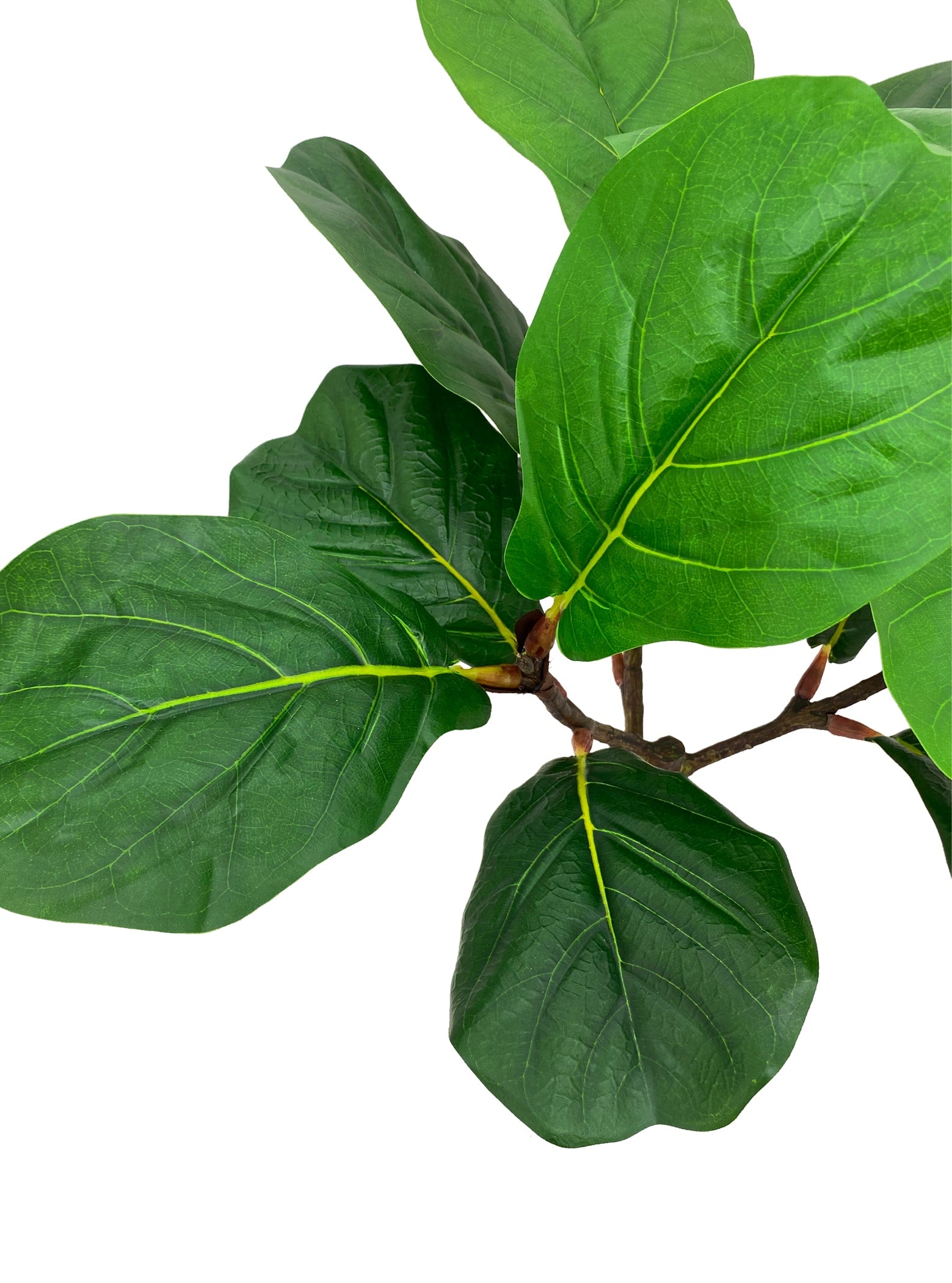 Artificial Plant - Fiddle-Leaf Fig Tree - 80cm