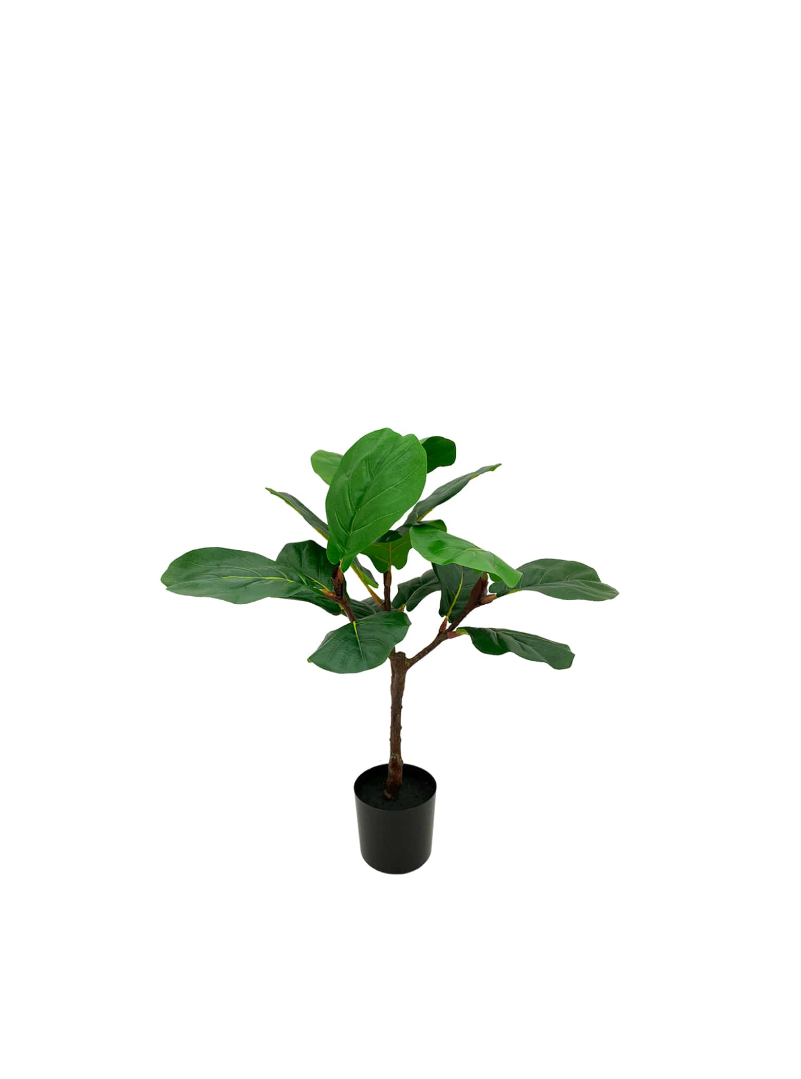 Artificial Plant - Fiddle-Leaf Fig Tree - 80cm