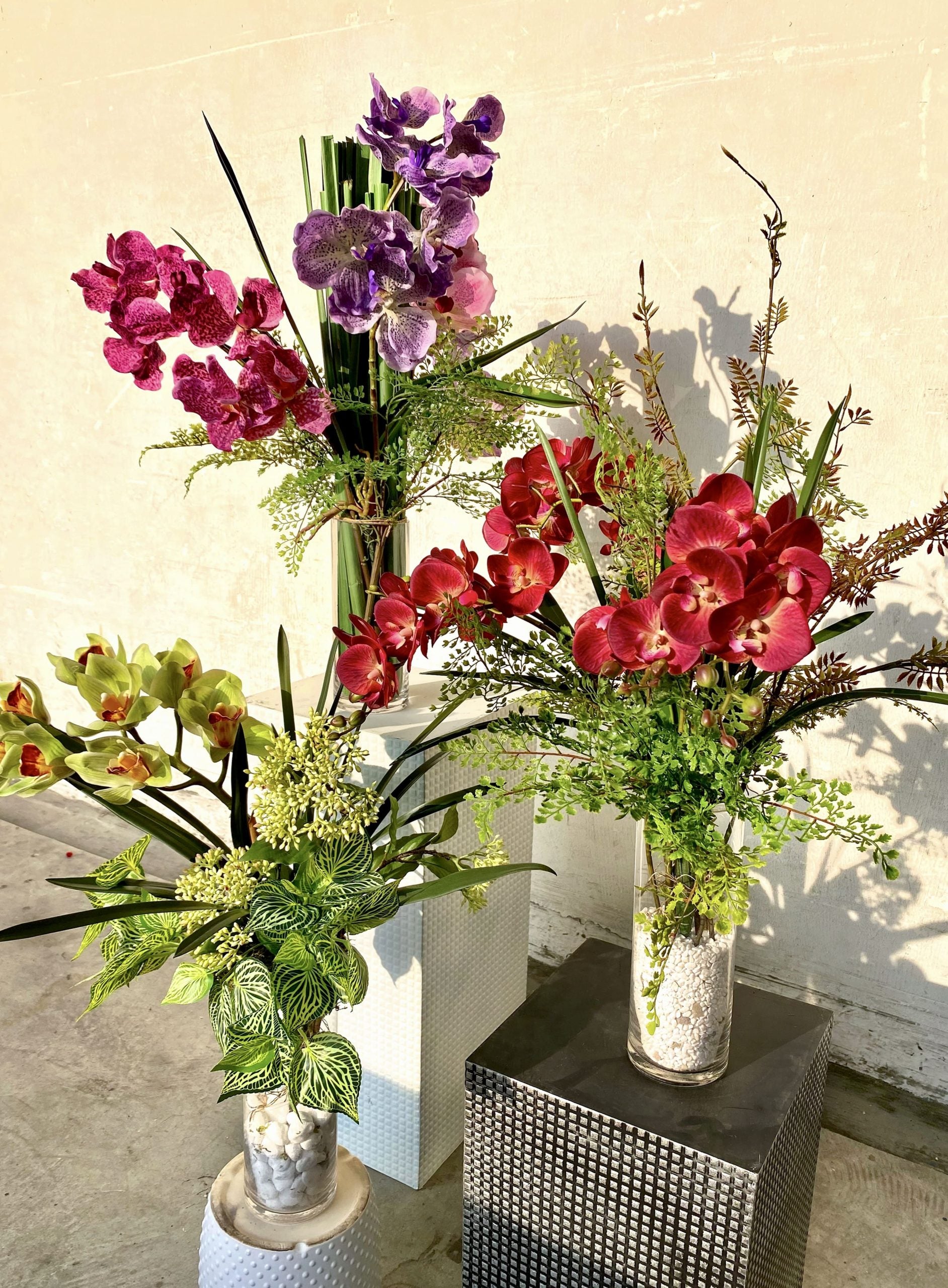 Earthy Cymbidium