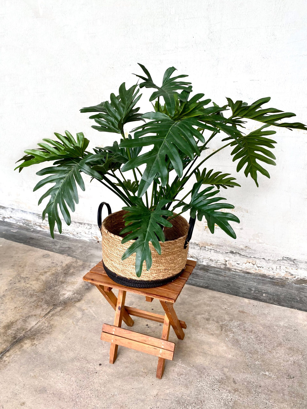 Artificial Plant - Philodendron Selloum (UV Resistant)